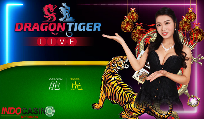Dragon Tiger Online Permainan Paling Populer di Casino Online